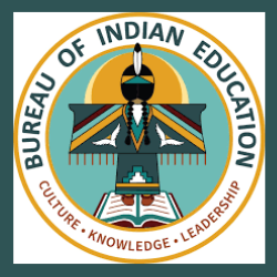 Native American Scholarships/Bureau of Indian Education Higher Education Grant Program